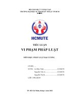 Tiểu luận pháp luật đại cương (PLĐC) đề tài Vi phạm pháp luật