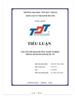 TIỂU LUẬN CHUYÊN đề ĐỊNH HƯỚNG NGHỀ NGHIỆP TRONG KINH DOANH QUỐC tế 2 