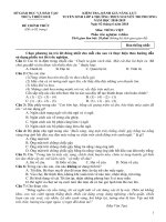 KIỂM TRA, ĐÁNH GIÁ NĂNG LỰC Môn: TIẾNG VIỆTKIỂM TRA, ĐÁNH GIÁ NĂNG LỰC Môn: TIẾNG VIỆT