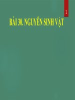 KHTN 6 Bài 30 Nguyên sinh vật (ppt)