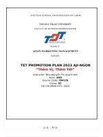 ASIAN MARKETING MANAGEMENT REPORT TET PROMOTION PLAN 2023 AJI NGON thêm vị, thêm tết 