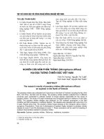 NGHIÊN CỨU NẤM PHẤN TRẮNG HẠI ĐẬU TƯƠNG Ở MIỀN BẮC VIỆT NAM