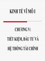 kinh te vi mo nguyen thi hong 101204   chuong 5   tiet kiem, dau tu va  het thong tai chinh (gui sv)   cuuduongthancong com 