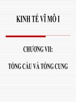 kinh te vi mo nguyen thi hong 101205   chuong 7   tong cau va tong cung (gui sv)   cuuduongthancong com 