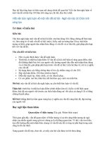 Viết văn bản nghị luận về một vấn đề xã hội - Ngữ văn lớp 10 Chân trời sáng tạo