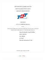 Đề tài HÃNG HÀNG KHÔNG MALAYSIA SO với AIR ASIA sự hài LÒNG của KHÁCH HÀNG, CHẤT LƯỢNG DỊCH vụ và THƯƠNG HIỆU DỊCH vụ 