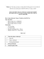 BÁO CÁO HIỆN TRẠNG ÁP DỤNG TẠI DOANH NGHIỆP HỆ THỐNG QUẢN LÝ CHẤT LƯỢNG THEO TÊU CHUẨN ISO/TS 16949:2009