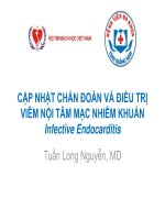 CẬP NHẬT CHẨN ĐOÁN VÀ ĐIỀU TRỊ VIÊM NỘI TÂM MẠC NHIỄM KHUẨN Infective Endocarditis