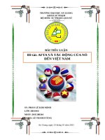 Tiểu luận: AFTA và tác động của nó đến Việt Nam