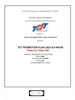 ASIAN MARKETING MANAGEMENT REPORT TET PROMOTION PLAN 2023 AJI NGON thêm vị, thêm tết 