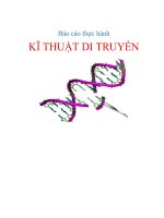 Báo cáo thực hành KT di truyền  PCR KHUẨN LẠC XÁC ĐỊNH DÒNG TẾ BÀO VI KHUẨN ,CHUYỂN GENE VÀO TẾ BÀO VI KHUẨN