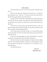 Luận văn Thạc sĩ Y học: Đánh giá tác dụng của bài thuốc “Đại tràng  HV” điều trị hội chứng ruột kích thích trên động vật thực nghiệm