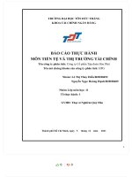 BÁO cáo THỰC HÀNH môn TIỀN tệ và THỊ TRƯỜNG tài CHÍNH tên công ty phân tích công ty cổ phần tập đoàn hòa phát HPG 