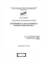 FINAL REPORT MANAGEMENT OF INFORMATION SYSTEMS ECOMMERCE  MANAGERMENT WEBSITE FOR BABY HUT 