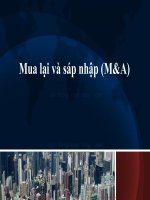 dau tu quoc te tran thanh phuong chuong 8 mua lai va sap nhap (ma)   cuuduongthancong com 