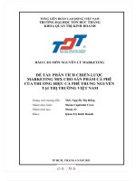 PHÂN TÍCH CHIẾN lược MARKETING MIX CHO sản PHẨM cà PHÊ của THƯƠNG HIỆU cà PHÊ TRUNG NGUYÊN tại THỊ TRƯỜNG VIỆT NAM 