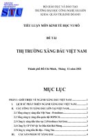 Tiểu luận thị trường xăng dầu việt nam 