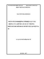 Nhân tố ảnh hưởng tới hiệu lực tác động của kênh lãi suất trong điều hành chính sách tiền tệ tại việt nam 