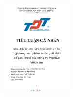 Chủ đề chiến lược marketing hỗn hợp dòng sản phẩm nước giải khát có gas pepsi của công ty pepsico việt nam 