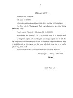 Đa dạng hóa danh mục đầu tư trên thị trường chứng khoán việt nam 