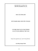 Tiểu luận các biện pháp ngăn chặn trong luật tố tụng hình sự việt nam 