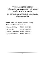 Tiểu luận Văn hóa kinh doanh và tinh thần khởi nghiệp: Trình bày về Mô hình văn hóa của một doanh nghiệp