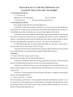 CHUẨN ĐẦU RA CỦA CHƯƠNG TRÌNH ĐÀO TẠO NGÀNH KỸ THUẬT DẦU KHÍ - MS: 52520604