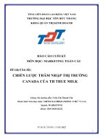 MÔN học MARKETING TOÀN cầu đề tài(chủ đề) CHIẾN lược THÂM NHẬP THỊ TRƯỜNG CANADA của TH TRUE MILK 