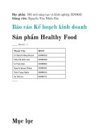 Báo cáo kế hoạch kinh doanh sản phẩm healthy food 