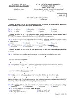 Đề thi thử tốt nghiệp THPT môn Tiếng Anh năm 2022-2023 có đáp án (Lần 1) - Trường THPT Hàn Thuyên, Bắc Ninh (Mã đề 103)