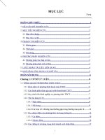 Phân tích hoạt động thanh toán theo phương thức tín dụng chứng từ tại ngân hàng INDOVINA cần thơ 