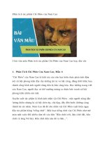 Phân tích tác phẩm chí phèo của nam cao 