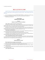 phap luat trong hoat dong kinh te doi ngoai  bo luat dan su 2005   cuuduongthancong com 