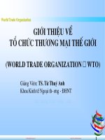 quan he kinh te quoc te tu thuy anh wto bookbooming   cuuduongthancong com 