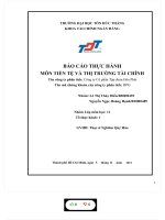 BÁO cáo THỰC HÀNH môn TIỀN tệ và THỊ TRƯỜNG tài CHÍNH tên công ty phân tích công ty cổ phần tập đoàn hòa phát HPG 