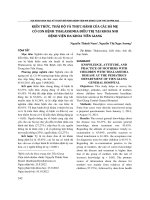 Kiến thức, thái độ và thực hành của các bà mẹ có con bệnh Thalassemia điều trị tại khoa Nhi Bệnh viện Đa khoa Tiền Giang
