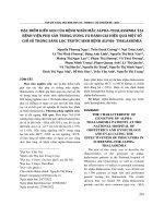 Đặc điểm kiểu gen của bệnh nhân mắc alpha-thalassemia tại Bệnh viện Phụ sản Trung ương và đánh giá hiệu quả một số chỉ số trong sàng lọc trước sinh bệnh alpha-thalassemia