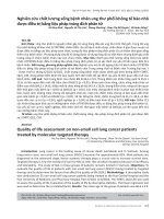 Nghiên cứu chất lượng sống bệnh nhân ung thư phổi không tế bào nhỏ được điều trị bằng liệu pháp trúng đích phân tử