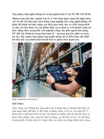 Ứng dụng công nghệ thông tin trong ngành bán lẻ tại TP  hồ chí minh 