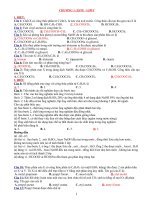 ĐỀ CƯƠNG ÔN TẬP HÓA 12(cả năm)