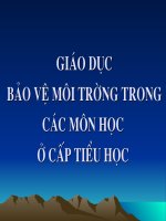 NGHỊ QUYẾT SỐ 41 CỦA BỘ CHÍNH TRỊ  VỀ BẢO VỆ MÔI TRƯỜNG  TRONG THỜI KỲ ĐẨY MẠNH CÔNG NGHIỆP HÓA, HIỆN ĐẠI HÓA ĐẤT NƯỚC (số 41/NQ-TW ngày 15 tháng 11 năm 2004)