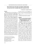 Một số rối loạn tâm thần, vận động ở bệnh nhân đột quỵ não cấp tại Bệnh viện Hữu nghị Việt Tiệp