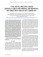 Ứng dụng phương pháp Monte Carlo mô phỏng mô hình da hỗ trợ chẩn đoán sức khỏe da