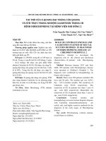 Vai trò của X quang đại tràng cản quang và STH trực tràng nhuộm Calretinin trong CĐ bệnh Hirschsprung tại Bệnh viện Nhi Đồng 2