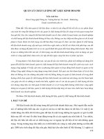 Quản lý chất lượng dữ liệu kinh doanh