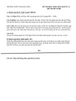 Câu 3: ( 5 điểm)