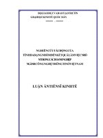 Nghiên cứu tác động của tính đa dạng nhóm đến kết quả làm việc nhóm trong các doanh nghiệp ngành công nghệ thông tin ở việt nam 