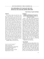 Đặc điểm bệnh gút ở nam giới trẻ tuổi – nhân hai case lâm sàng không điển hình