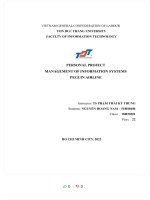 PERSONAL PROJECT MANAGEMENT OF INFORMATION SYSTEMS PEGUIN AIRLINE 