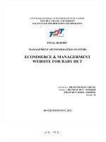 FINAL REPORT MANAGEMENT OF INFORMATION SYSTEMS ECOMMERCE  MANAGERMENT WEBSITE FOR BABY HUT 